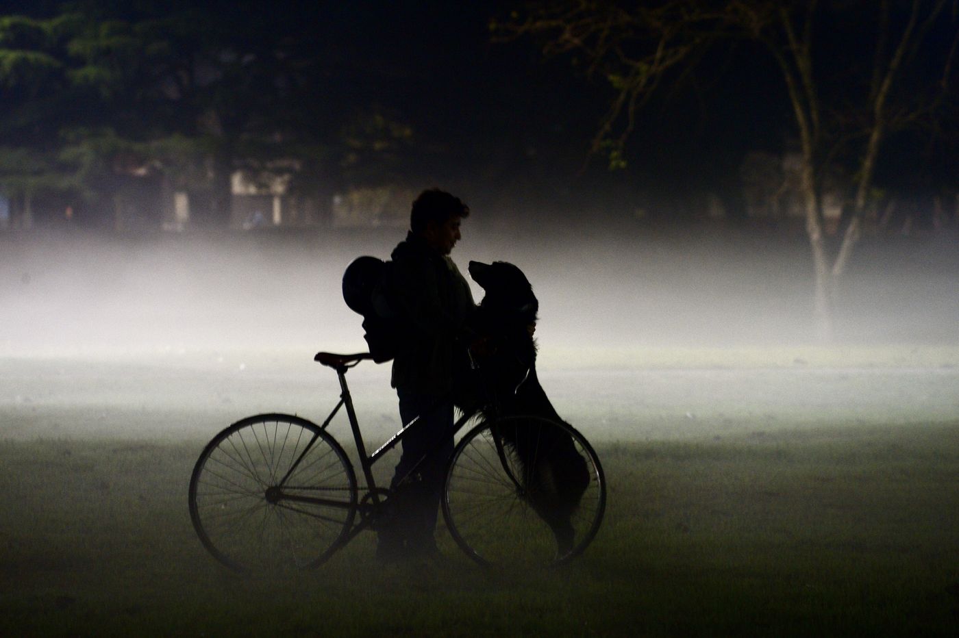 Neblina Parque Castelli perro clima bicicleta