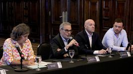 el gobierno reunio a todos los ministros de salud del pais en medio del historico brote de dengue el gobierno reunio a todos los ministros de salud del pais en medio del historico brote de dengue