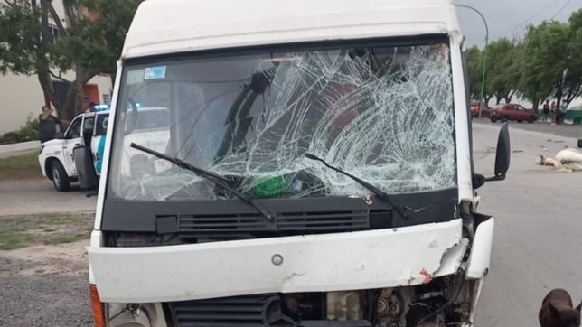 un chico de 15 anos que iba a caballo fue atropellado por una camioneta y esta grave