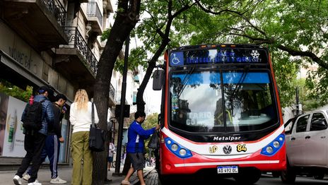 ¿Qué pasará con los micros en La Plata tras el aumento anunciado para las líneas nacionales? ¿Qué pasará con los micros en La Plata tras el aumento anunciado para las líneas nacionales?