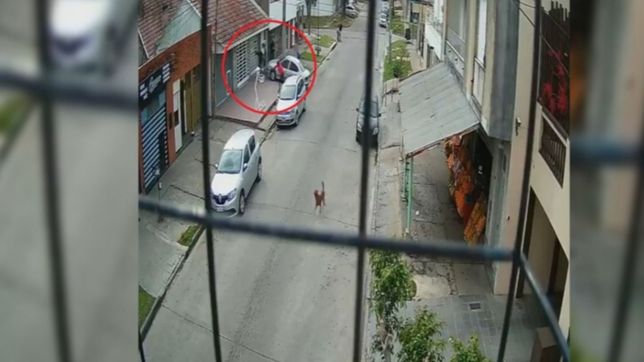 video: tiros, piedrazos y patadas en medio de un ataque a una peluqueria de la plata