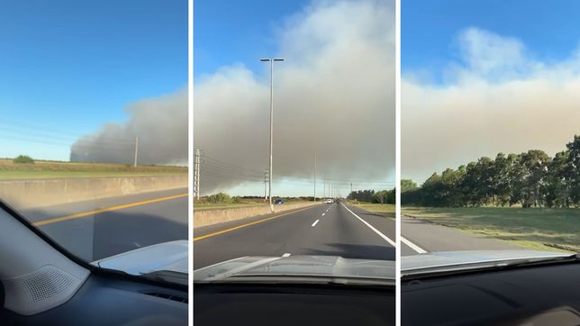 alerta y operativo de prevencion por un incendio en la reserva de punta lara