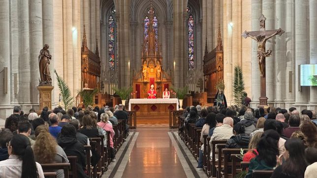el arzobispo de la plata presidio la misa de ramos en la catedral y llamo a vivir la fe en semana santa