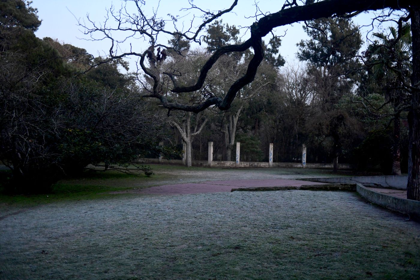 heladas frio en La Plata-0001 (8).JPG