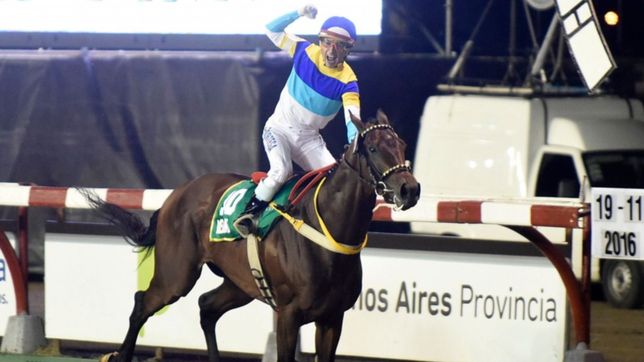 se corre la 99° edicion del gran premio dardo rocha en el hipodromo de la plata