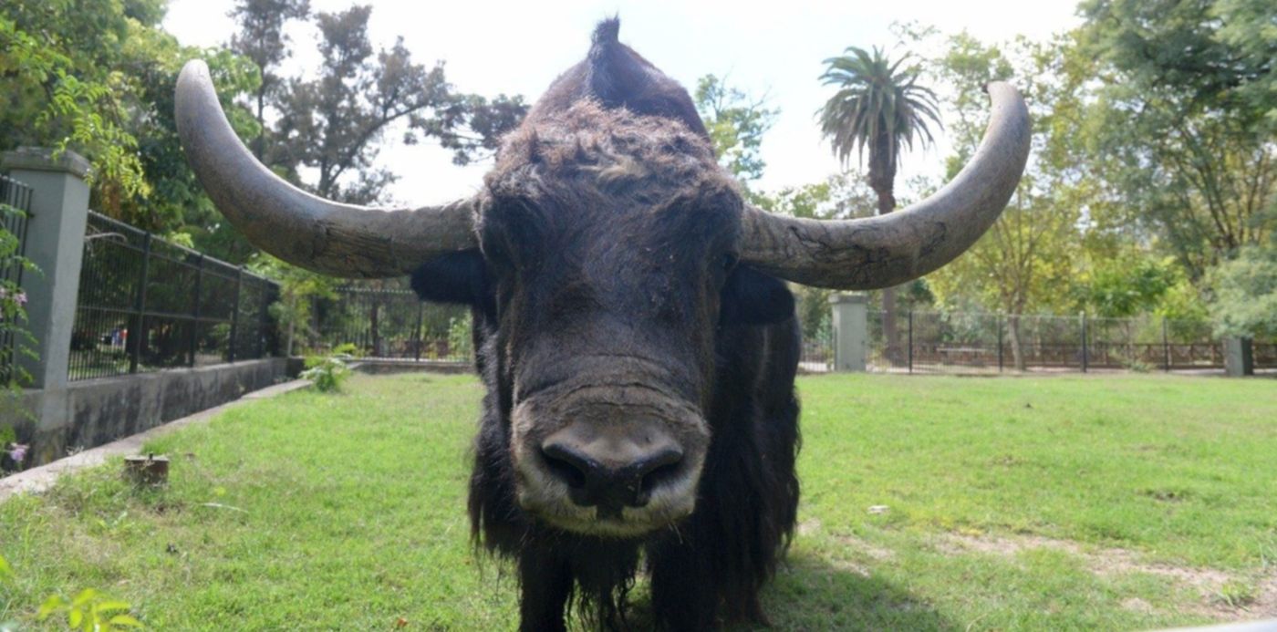 1564601949688.jpg?oh=858&y=106&rotate=0&scaleY=1&scaleX=1&ow=1500&x=7&width=1486&height=743&&cw=1920&ch=950