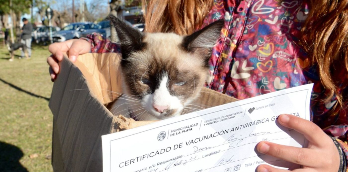 1560818196007.jpeg?x=2&y=13&width=1497&height=748&rotate=0&scaleX=1&scaleY=1&ow=1500&oh=967&&cw=1920&ch=950