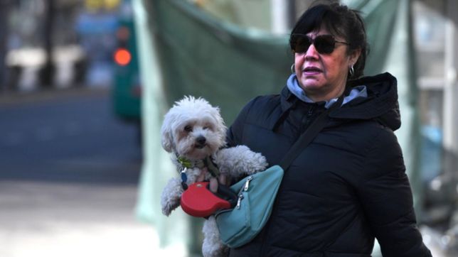 humedo, nublado y ¿con lluvias? asi seguira el clima en la plata durante la semana