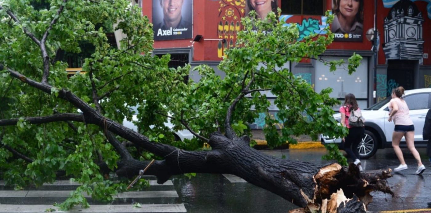 1575055940131.jpeg?rotate=0&scaleY=1&ow=1280&oh=850&x=3&height=634&scaleX=1&y=135&width=1268&&cw=1920&ch=950