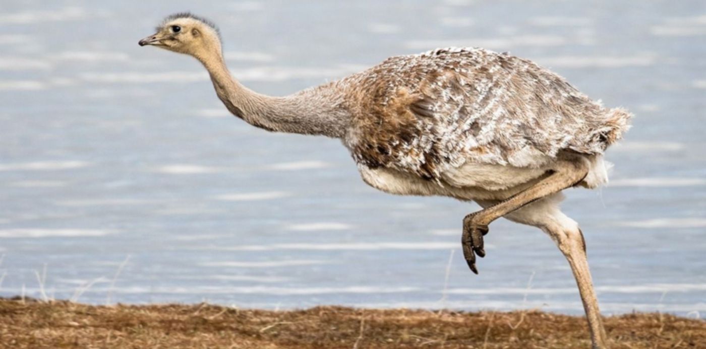 1579092588758.jpg?&cw=1920&ch=950