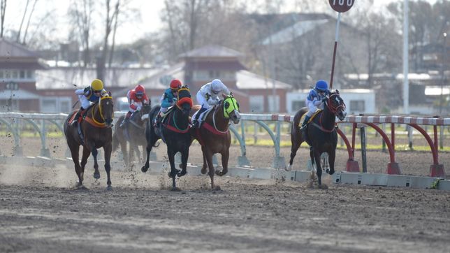 el hipodromo recupero el laboratorio para el control del doping