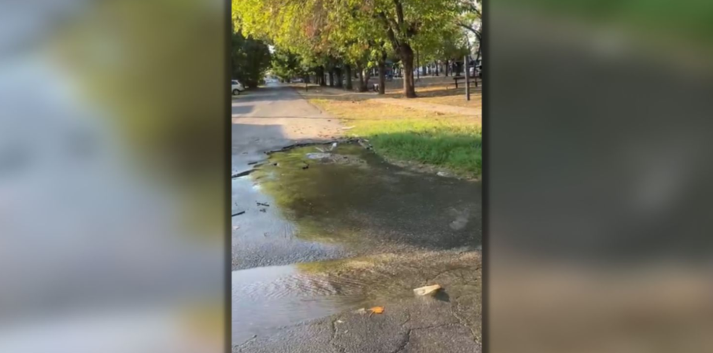 1678128499732.jpg?x=20&y=7&width=1460&height=730&rotate=0&scaleX=1&scaleY=1&ow=1500&oh=742&&cw=1920&ch=950