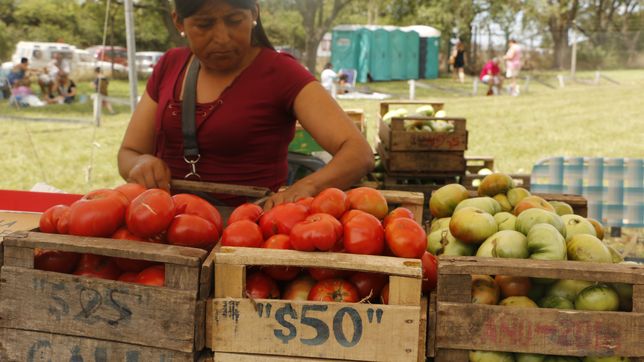 ¿como sera el cronograma de la fiesta del tomate platense en gorina?