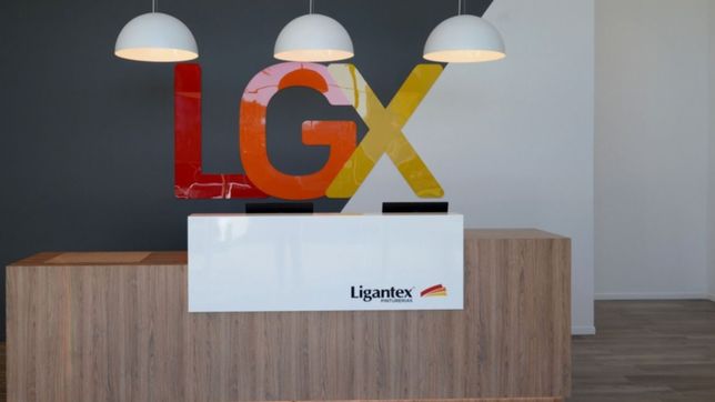 llega la semana de la pintura a ligantex y habra promociones en todos los productos