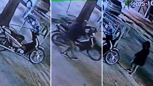 dos ladrones robaron una moto en la plata y quedaron filmados