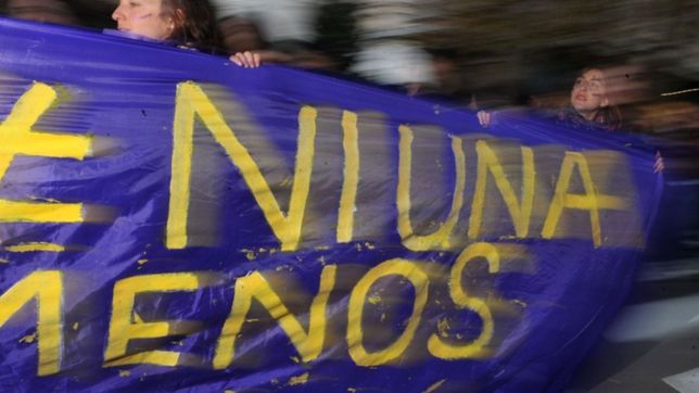 febrero feminista: lo que se viene de cara al proximo encuentro de mujeres en la plata