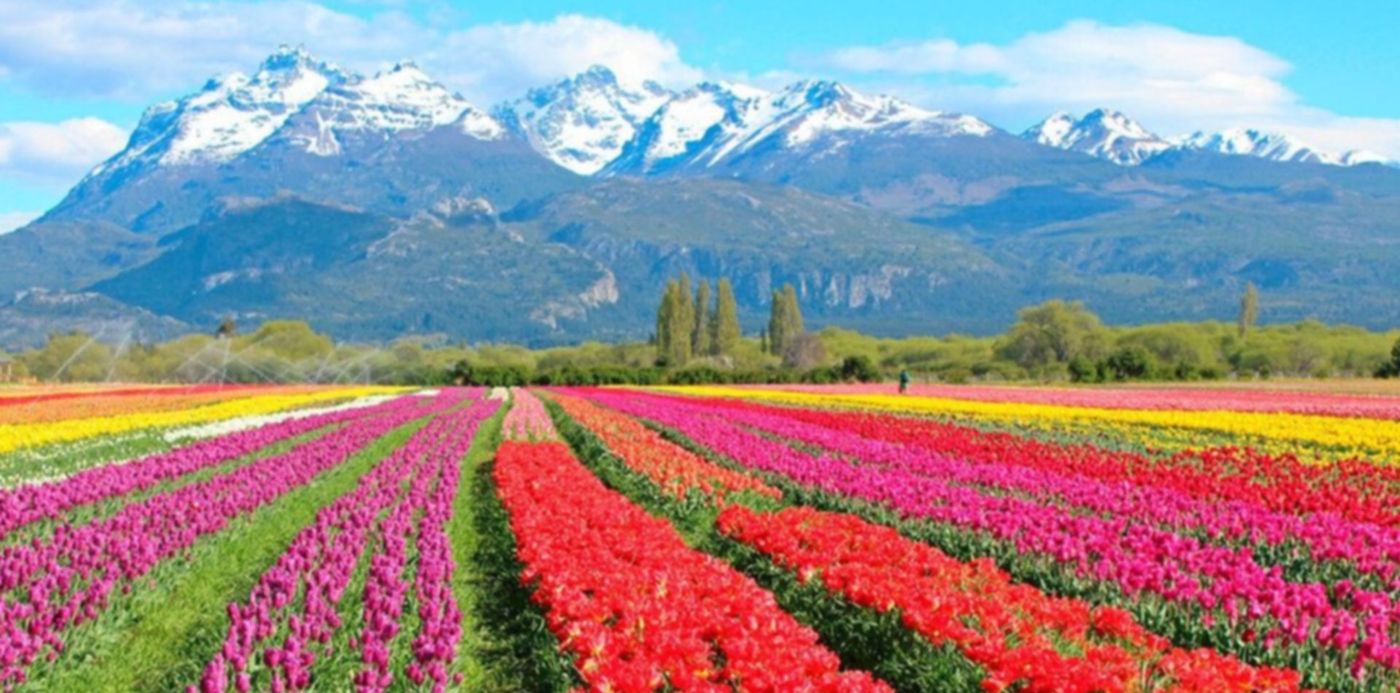 1656861287446.jpg?x=5&y=44&width=1014&height=506&rotate=0&scaleX=1&scaleY=1&ow=1024&oh=768&&cw=1920&ch=950