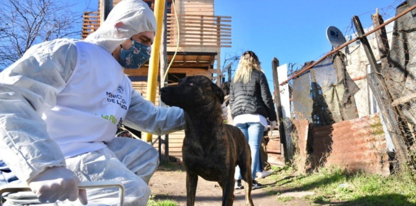 1601335489579.jpeg?x=6&y=91&width=1269&height=634&rotate=0&scaleX=1&scaleY=1&ow=1280&oh=853&&cw=1920&ch=950