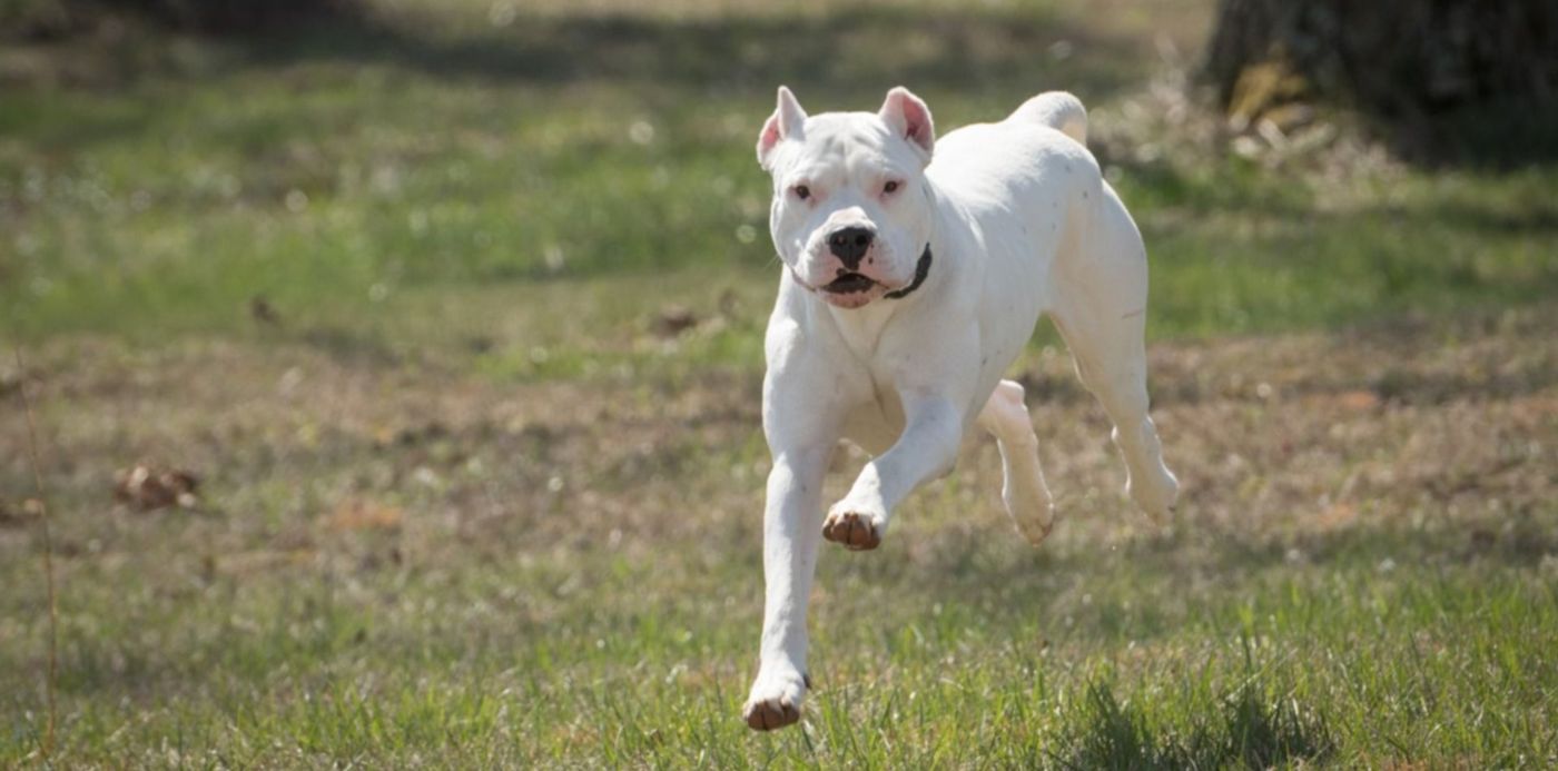 1604535892055.jpg?x=7&y=153&width=1491&height=745&rotate=0&scaleX=1&scaleY=1&ow=1500&oh=999&&cw=1920&ch=950