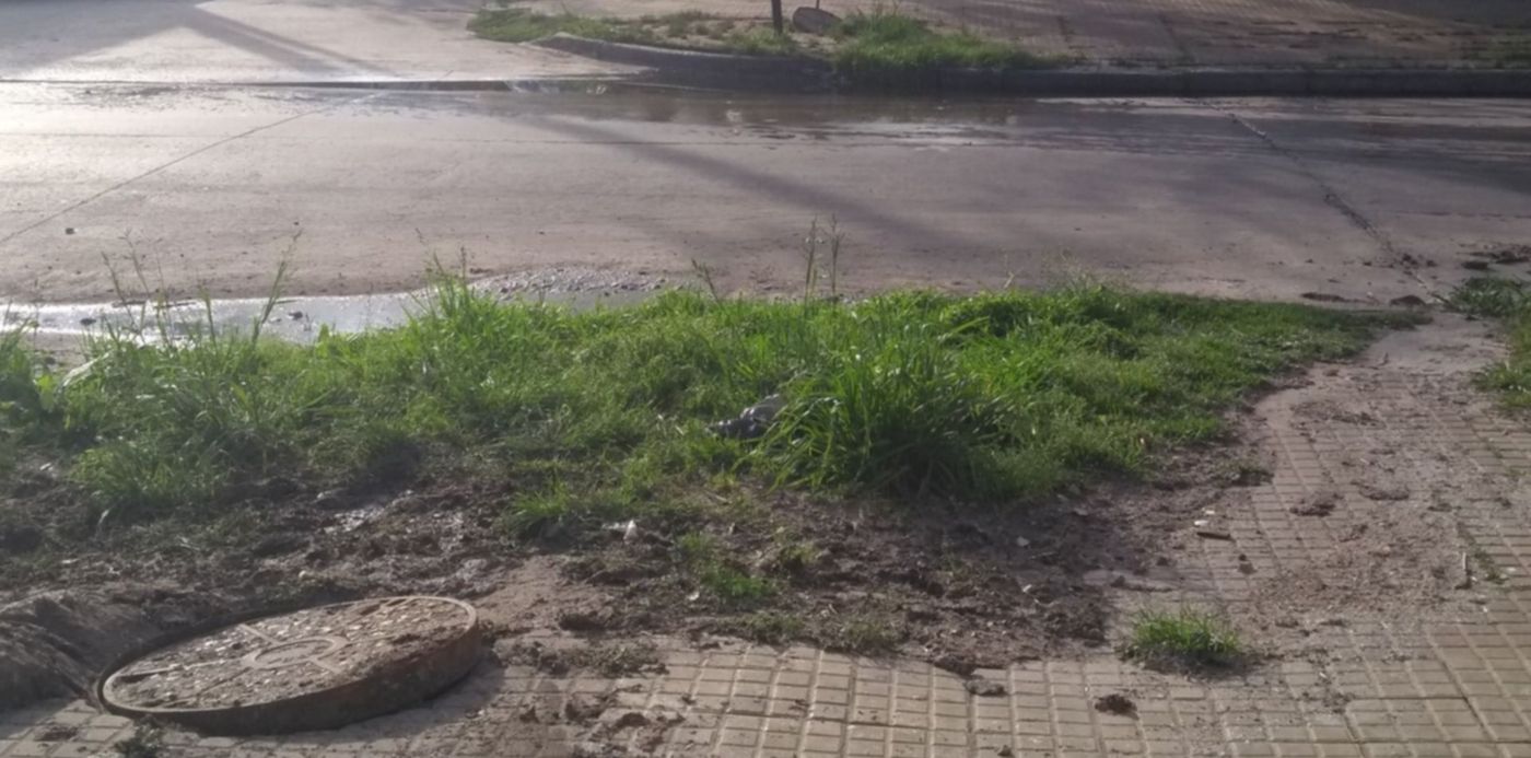 1570490375936.jpg?x=4&width=1493&rotate=0&scaleY=1&ow=1500&y=379&height=746&scaleX=1&oh=1125&&cw=1920&ch=950