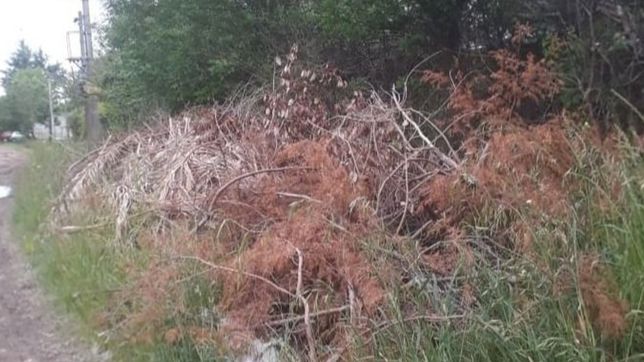 salieron de un matorral y asaltaron a un matrimonio cuando llegaba a su casa de la plata