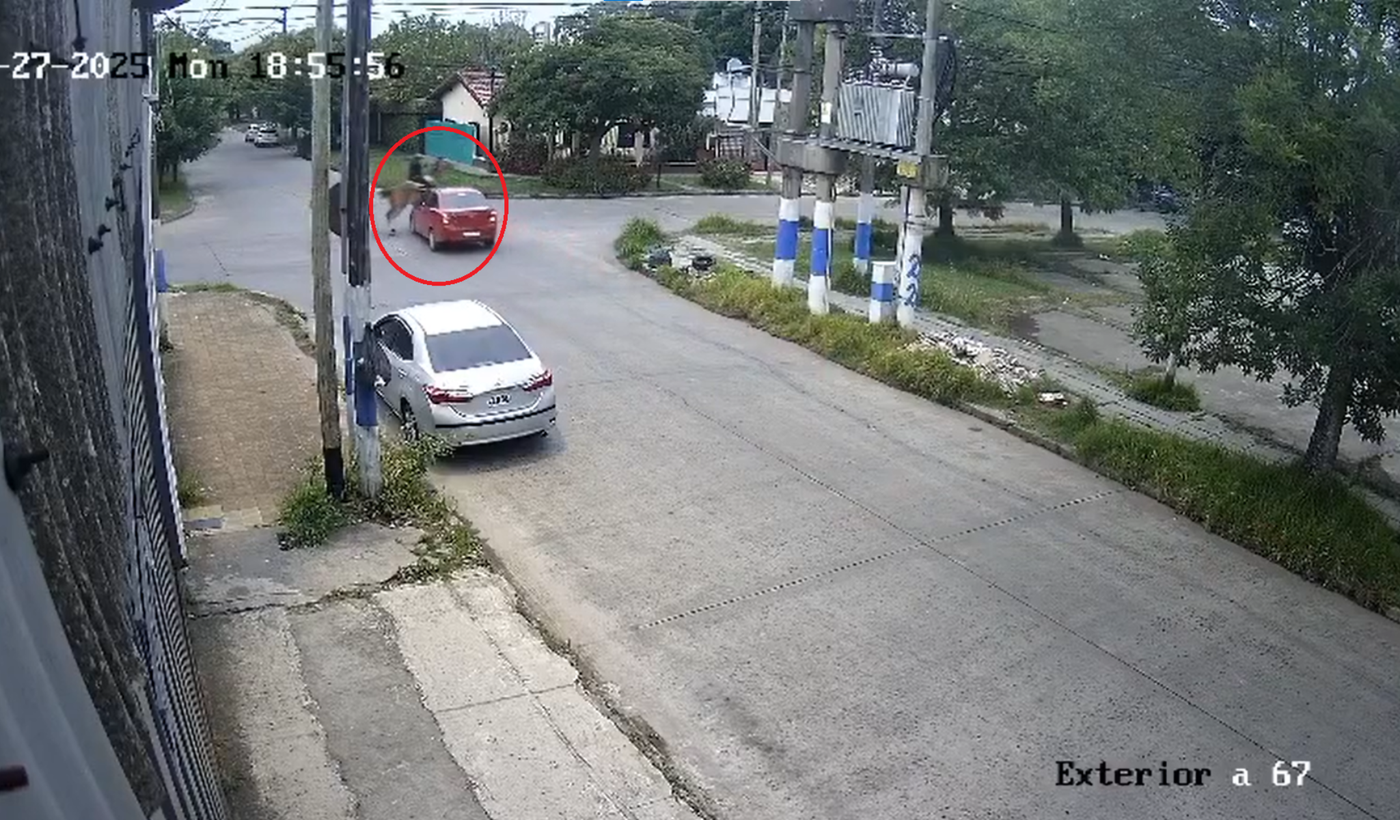 Diseño sin título (1)