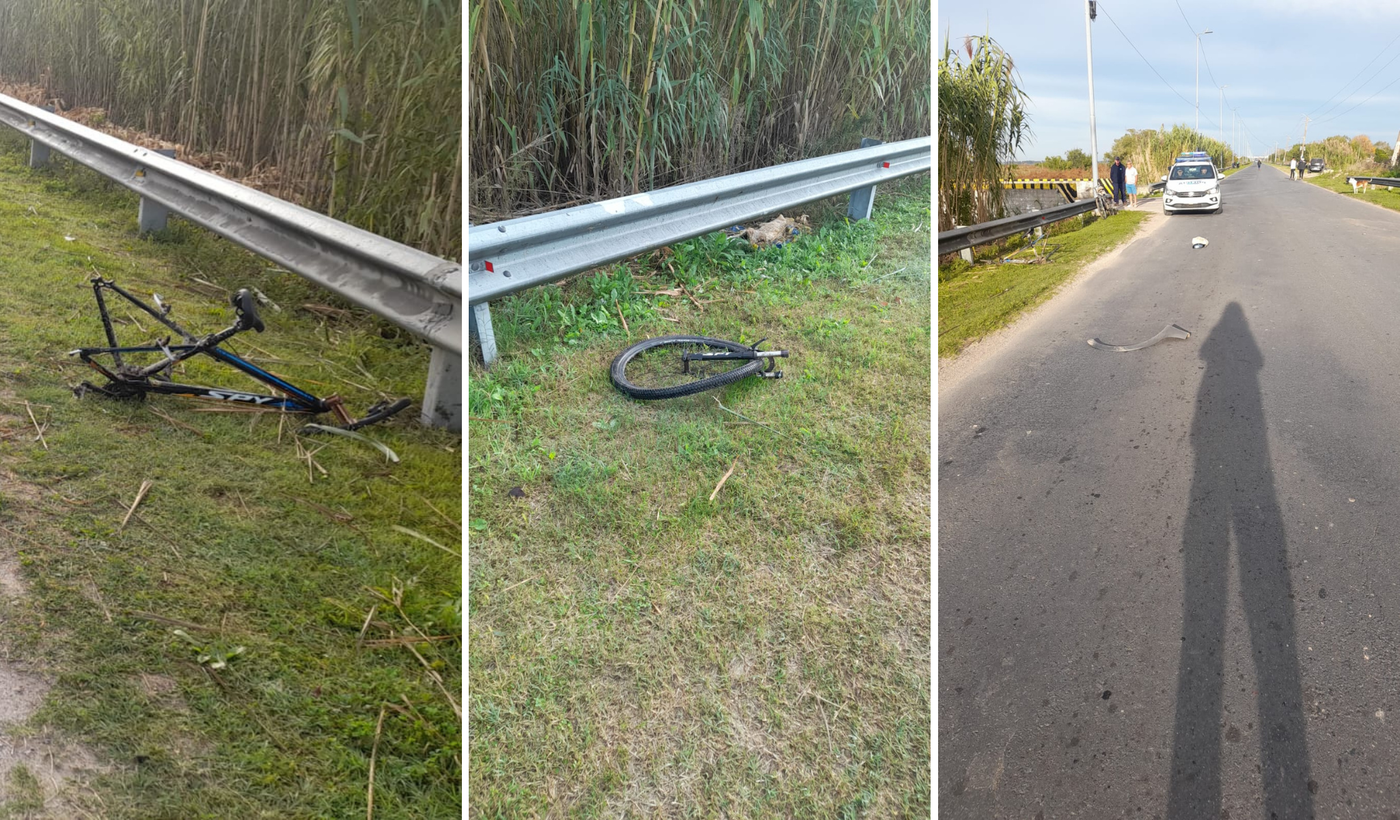 Diseño sin título.png