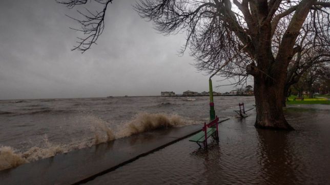 una nueva crecida del rio de la plata pone en alerta a toda la region
