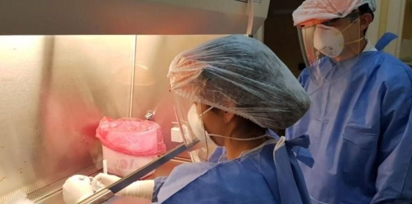 1588020607218.jpeg?width=641&scaleX=1&x=5&y=62&height=321&rotate=0&scaleY=1&ow=650&oh=500&&cw=1920&ch=950