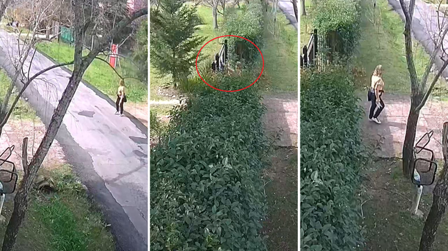 una mujer robo un panuelo blanco de los 30.0000 desaparecidos del porton de una casa de city bell