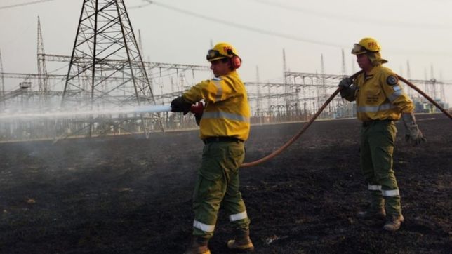 las fotos del incendio en la plata que casi afecta a una subestacion electrica