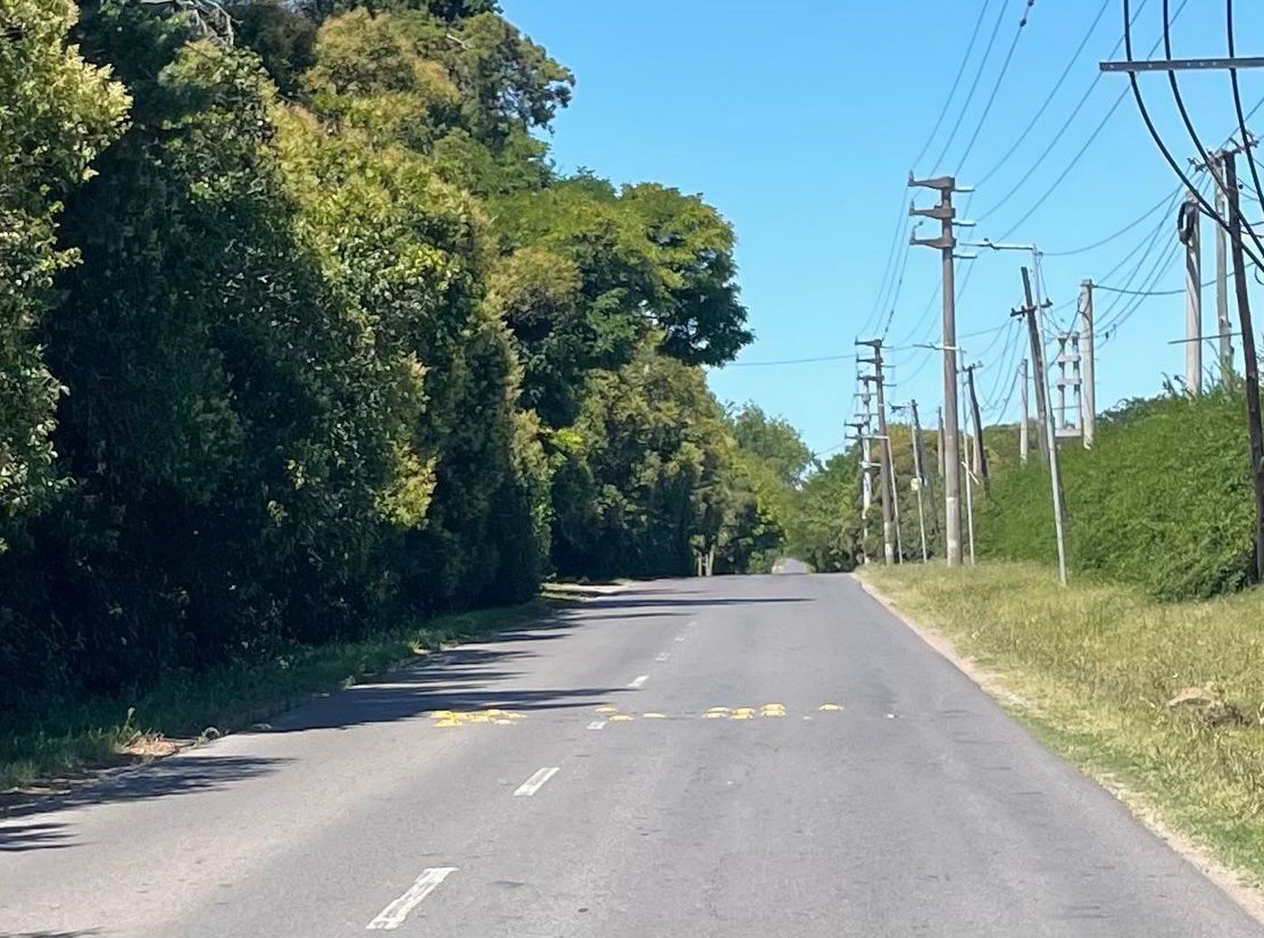 La Libertad Avanza pide explicaciones a Julio Alak por el estado de los reductores de velocidad.