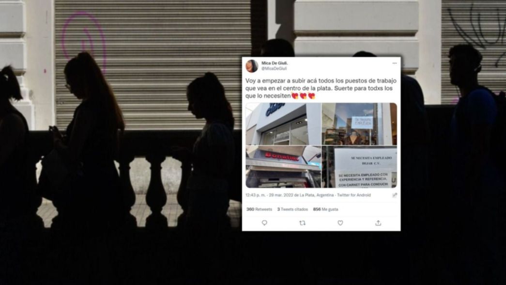 Una chica de La Plata hizo explotar Twitter con una improvisada bolsa de trabajo