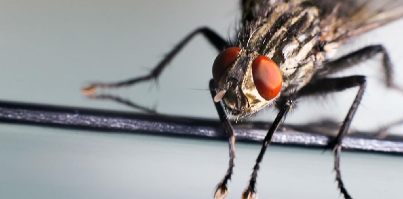 1560205555262.jpg?ow=1500&oh=842&rotate=0&scaleX=1&scaleY=1&x=7&y=53&width=1486&height=743&&cw=1920&ch=950