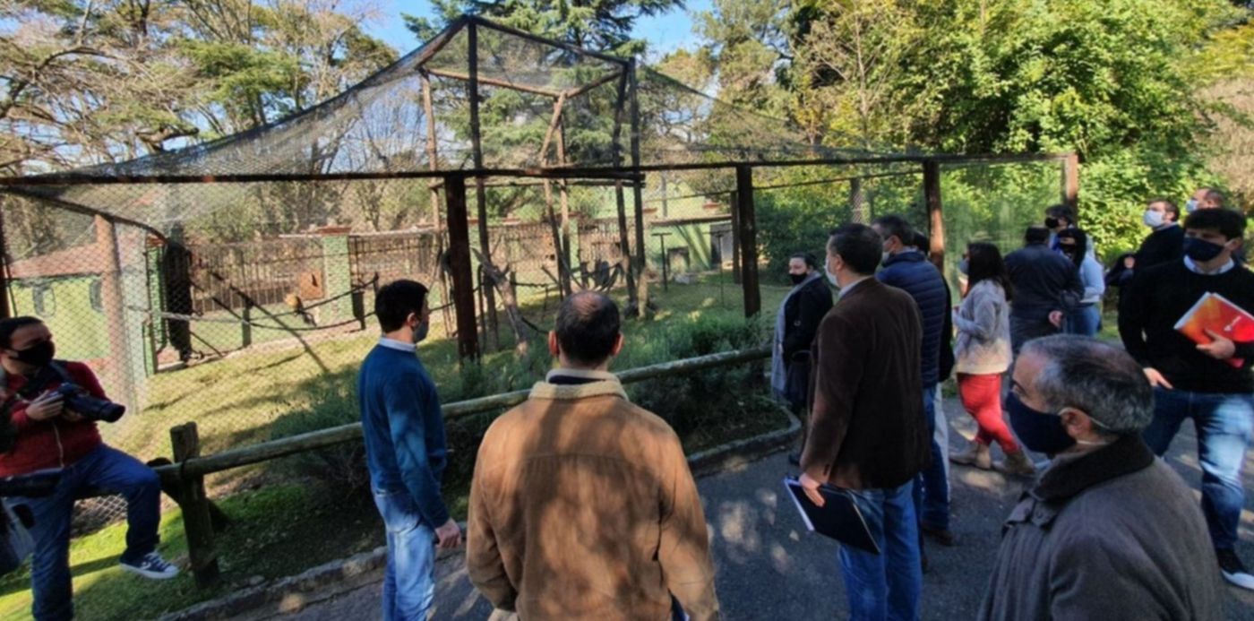 1597510773336.jpeg?x=10&y=240&width=1261&height=630&rotate=0&scaleX=1&scaleY=1&ow=1280&oh=960&&cw=1920&ch=950