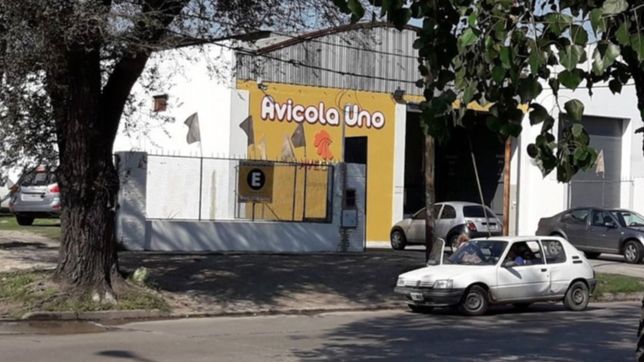 a las patadas, dos ladrones se metieron en un galpon avicola de la plata para robar