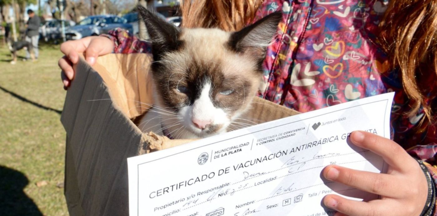 1560818196007.jpeg?x=5&y=58&width=1490&height=745&rotate=0&scaleX=1&scaleY=1&ow=1500&oh=967&&cw=1920&ch=950