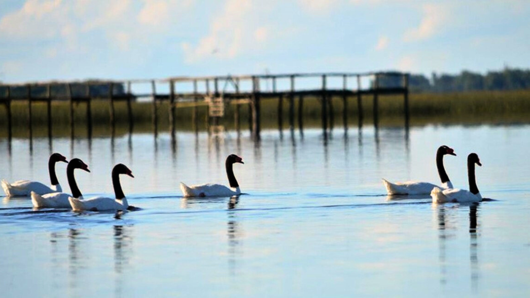Pesca, deportes acuáticos y un entorno único: la laguna escondida en plena Ruta 2