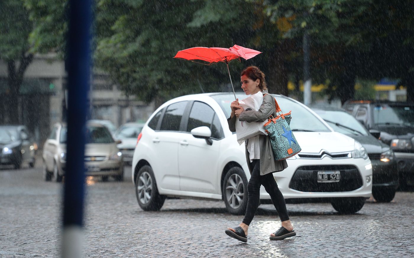 Clima Lluvia Lluvias (10).JPG