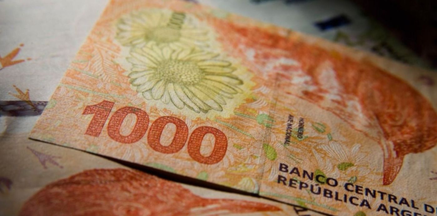 1635161726687.jpg?x=15&y=10&width=1465&height=732&rotate=0&scaleX=1&scaleY=1&ow=1500&oh=742&&cw=1920&ch=950