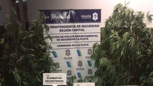 cayo en el mercadito el presunto autor de una entradera en tolosa