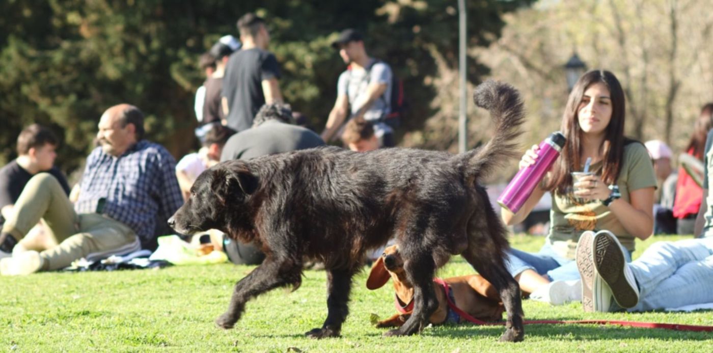 1632757333500.jpg?x=10&y=110&width=1477&height=738&rotate=0&scaleX=1&scaleY=1&ow=1500&oh=1000&&cw=1920&ch=950