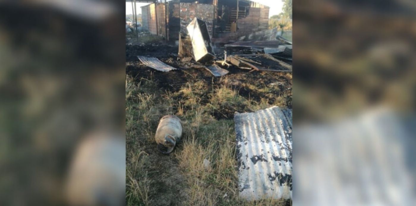 1577113155088.jpg?height=638&rotate=0&ow=1350&x=34&y=4&scaleY=1&oh=650&width=1276&scaleX=1&&cw=1920&ch=950