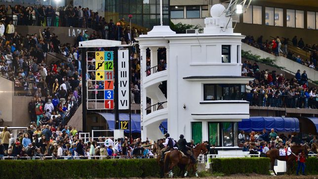 milonga, cultura y visitas guiadas: el programa del hipodromo de la plata para el semana