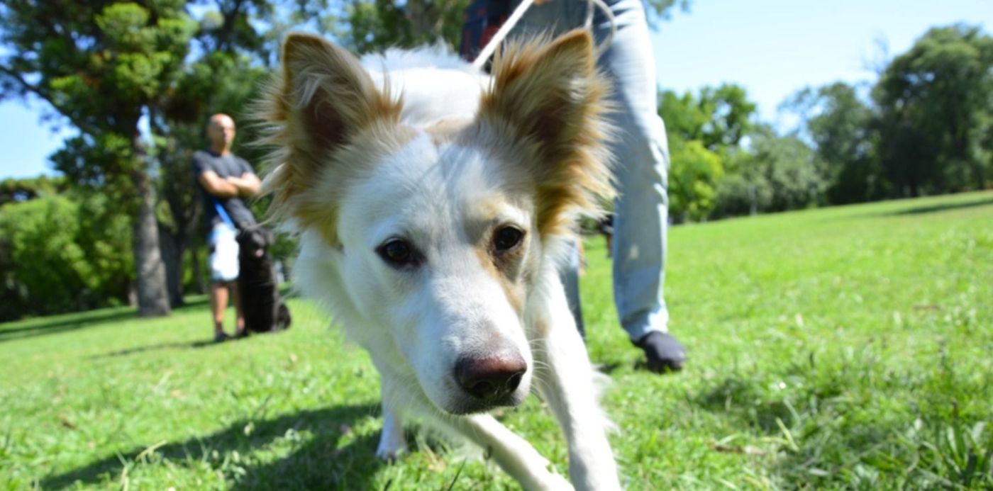 1674777266722.jpg?x=7&y=23&width=1483&height=742&rotate=0&scaleX=1&scaleY=1&ow=1500&oh=1000&&cw=1920&ch=950