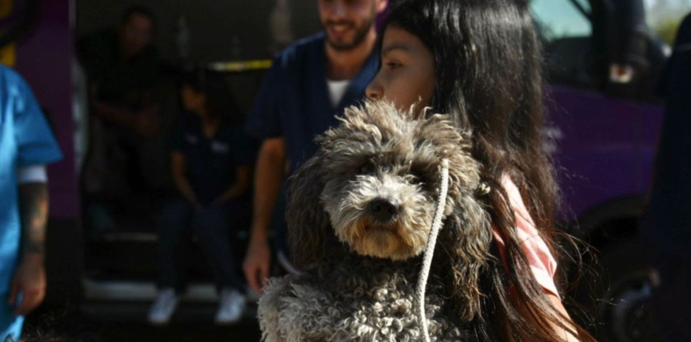 1690917280412.jpg?x=10&y=147&width=1480&height=740&rotate=0&scaleX=1&scaleY=1&ow=1500&oh=1000&&cw=1920&ch=950