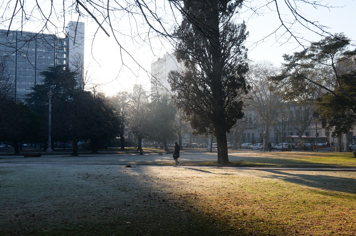 Invierno Frío Ola polar Escarcha (2).jpeg