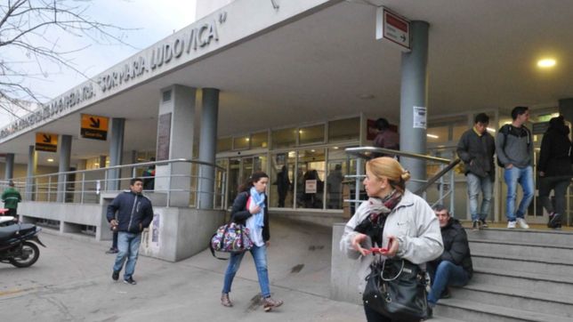 con talleres y charlas, el hospital de ninos celebra el dia mundial del prematuro