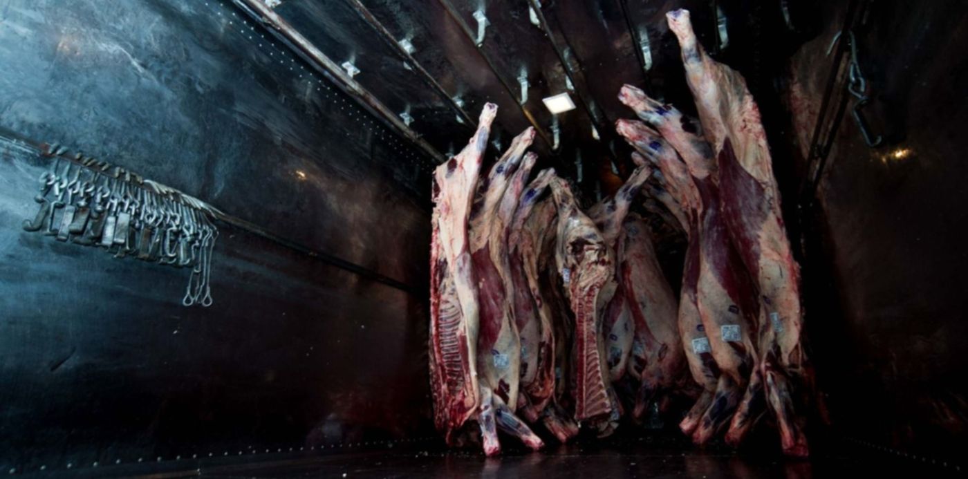 1622224725903.jpg?x=14&y=122&width=1472&height=737&rotate=0&scaleX=1&scaleY=1&ow=1500&oh=998&&cw=1920&ch=950