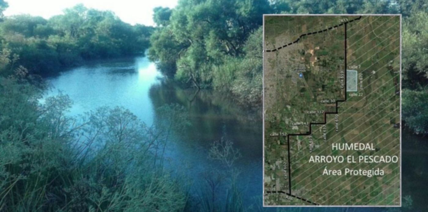 1603376573164.jpg?x=0&y=37&width=1024&height=512&rotate=0&scaleX=1&scaleY=1&ow=1024&oh=614&&cw=1920&ch=950